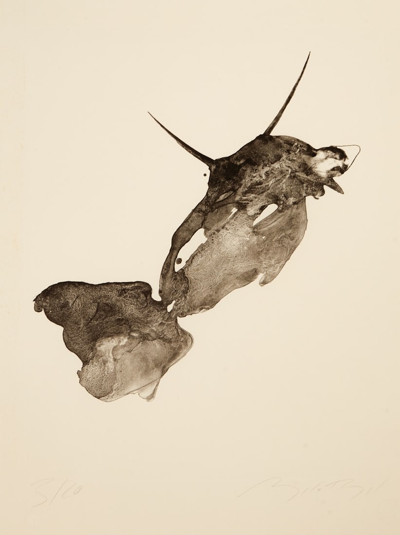 Angela Hampel (1 of 1)