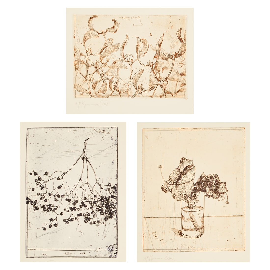 Anton Paul Kammerer: Anton Paul Kammerer 1954 Weissenfels - lives in Burgst?¤dtel. Portfolio - "Elder" - (2011) Etching/paper. 21 x 15 cm, 39.4 x 26.8 cm. Signed and dated lower left: A. P. Kammerer 2011. The sheet is