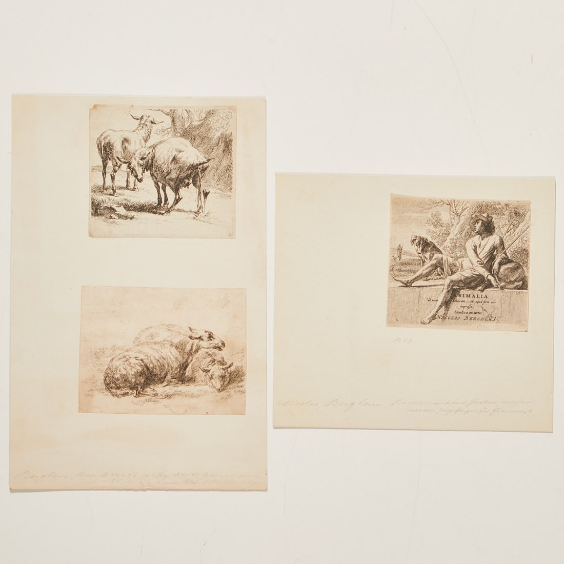 Nicolaes Berchem: Nicolaes Berchem 1620 Haarlem - 1683 Amsterdam - Animalia - 3 etchings/paper. Between 10 x 11 cm and 10 x 13 cm (sheet size), between 20 x 22 cm and 31 x 20 cm (dimensions with cardboard). In the plat