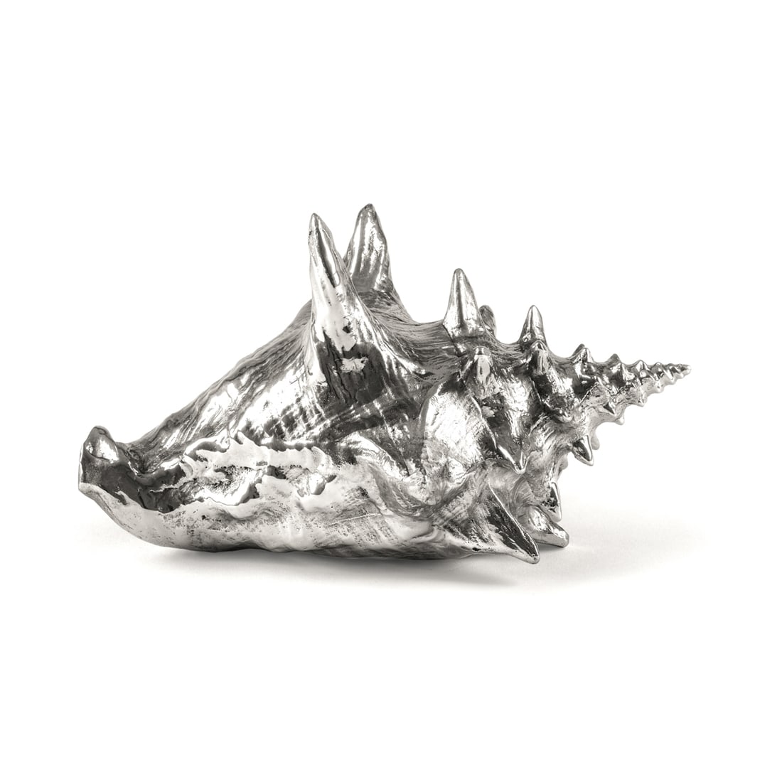 Wunderkammer: Shell - Diesel Living, Seletti: Wunderkammer: Shell - Diesel Living Seletti, Cicognara. Aluminum. 23.5 x 19 cm. H. 13.5 cm. Designed by Diesel Living from the object series "Wunderkammer". In the curiosity cabinets