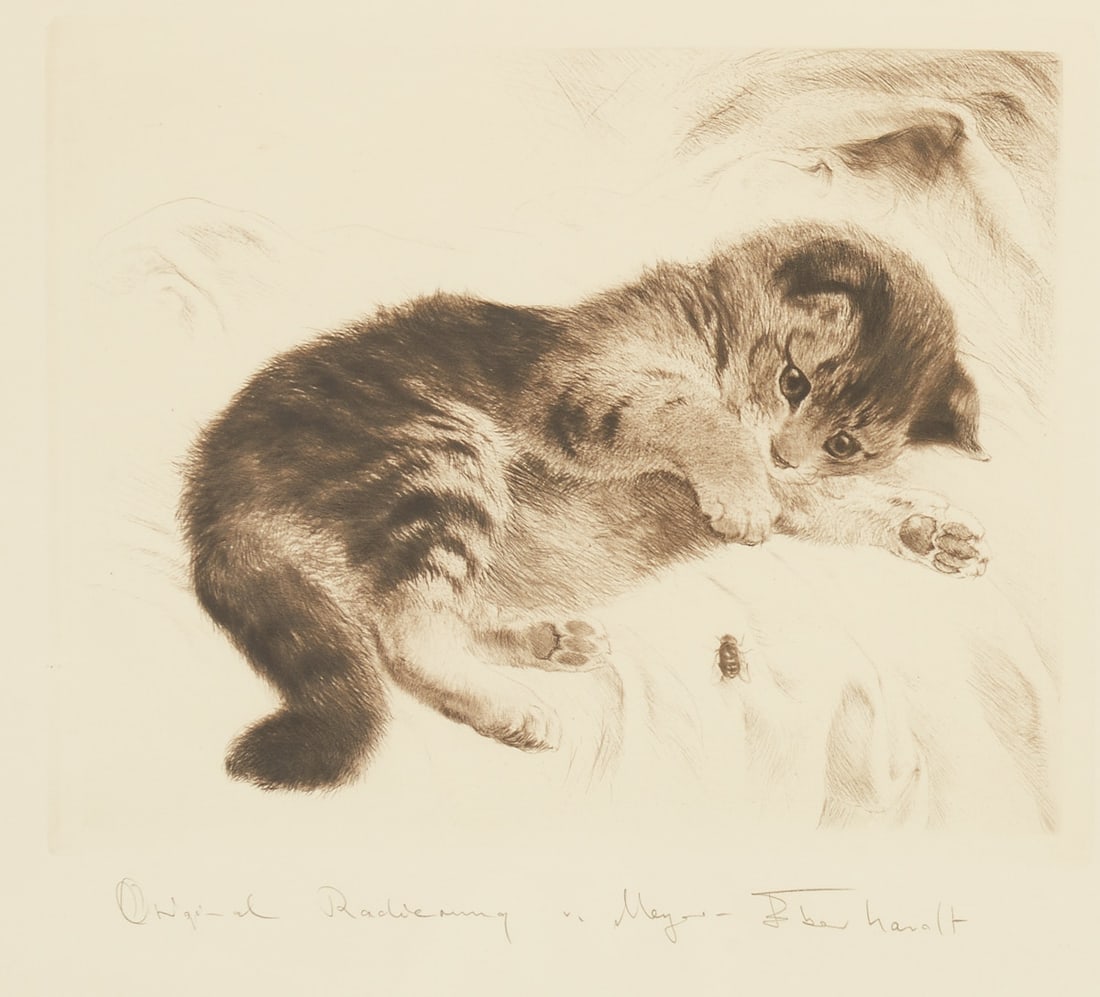 Kurt Meyer Eberhardt: Kurt Meyer Eberhardt 1895 Leipzig - 1977 Munich - Playing Cat - Etching/paper. 24 x 28.5 cm, 37 x 50.5 cm, 42 x 55.5 cm (dimensions with frame). Titled and signed lower middle: Original Etching by Mey