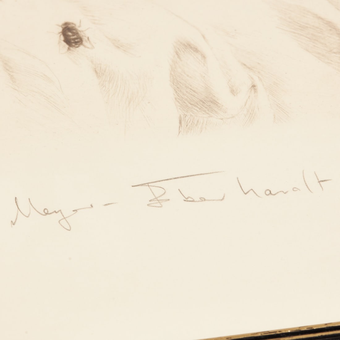 Kurt Meyer Eberhardt - 3