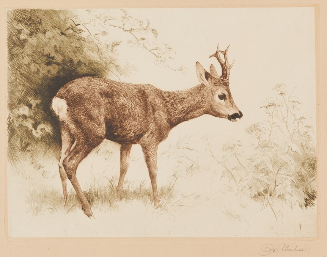 Kurt Meyer Eberhardt - 3