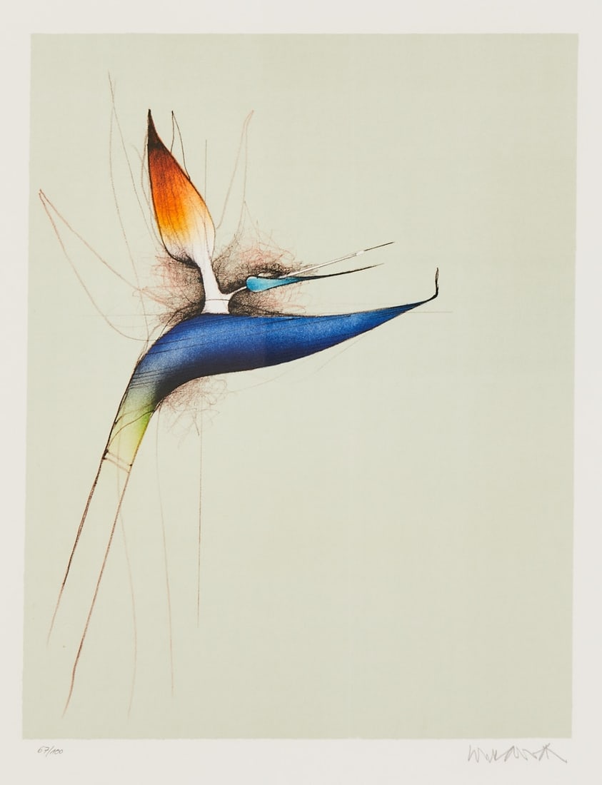 Paul Wunderlich: Paul Wunderlich 1927 Eberswalde - 2010 Saint-Pierre-de-Vassols - Strelizia - Color lithograph/paper. 67/100. 42.5 x 33 cm, 52 x 42 cm (mat opening), 81 x 71 cm (size with frame). Signed lower right: