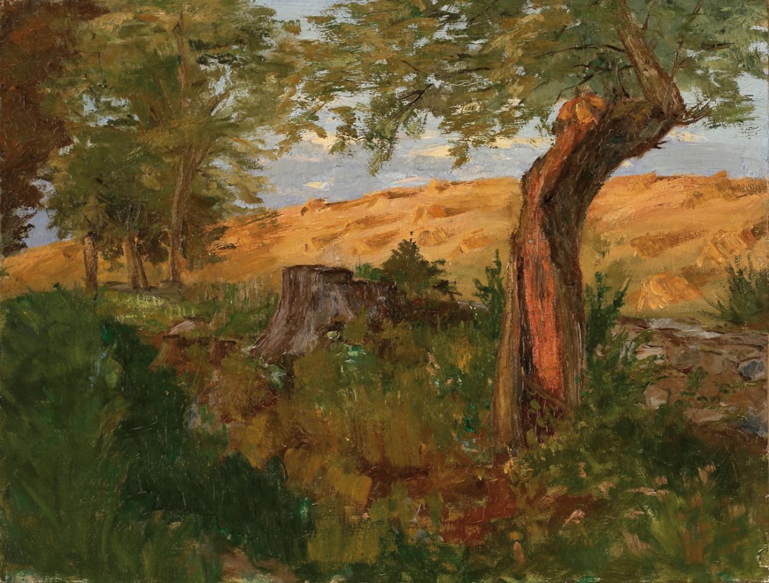 Johanna Reincke 1874 Dobbertin - 1948 Feldber...: Johanna Reincke 1874 Dobbertin - 1948 Feldberg - Landschaft - Ã–l/Lwd. auf Karton. 31,5 x 40,5 cm. A. d. Karton dat.: 1898. SchÃ¼lerin Walter Leistikows und Lovis Corinths sowie Mitglied im 'Vere
