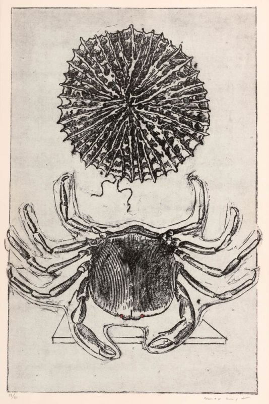 Max Ernst 1891 Brühl - 1976 Paris - 'Zu: Max ... (1 of 1)