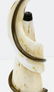 Dale Chihuly (b.1941 Washington) Gold Piccolo Venetian - 3