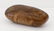 Modern Double Burl Wood Sculpture 8"x20.5"x12". Polishe - 2
