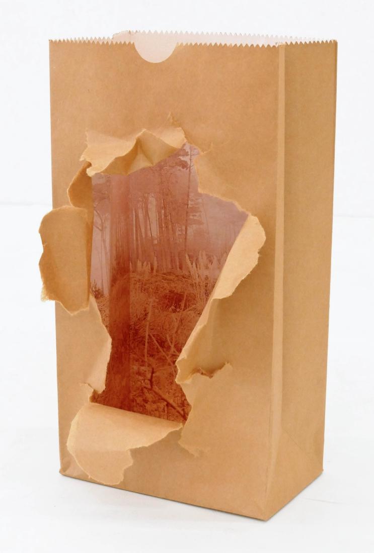 Jerry McMillan (b.1936 California) Untitled Torn Bag (1 of 3)