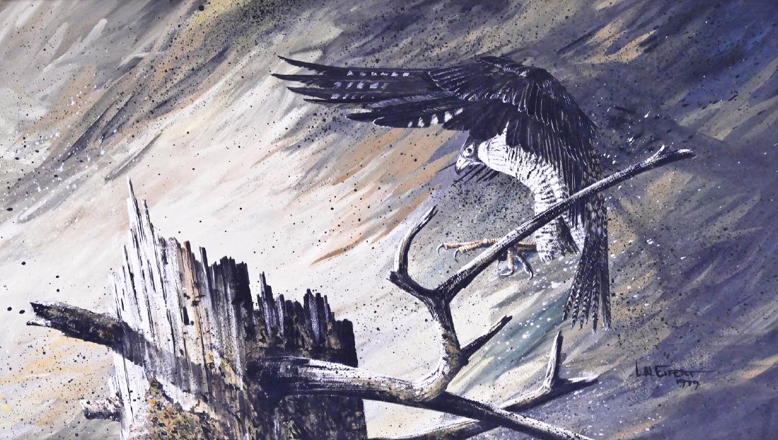 Larry Eifert (b.1946 Washington) ''Red Tailed Hawk'' (1 of 3)