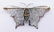 Carrera y Carrera Platinum & Diamond Butterfly Brooch - 2