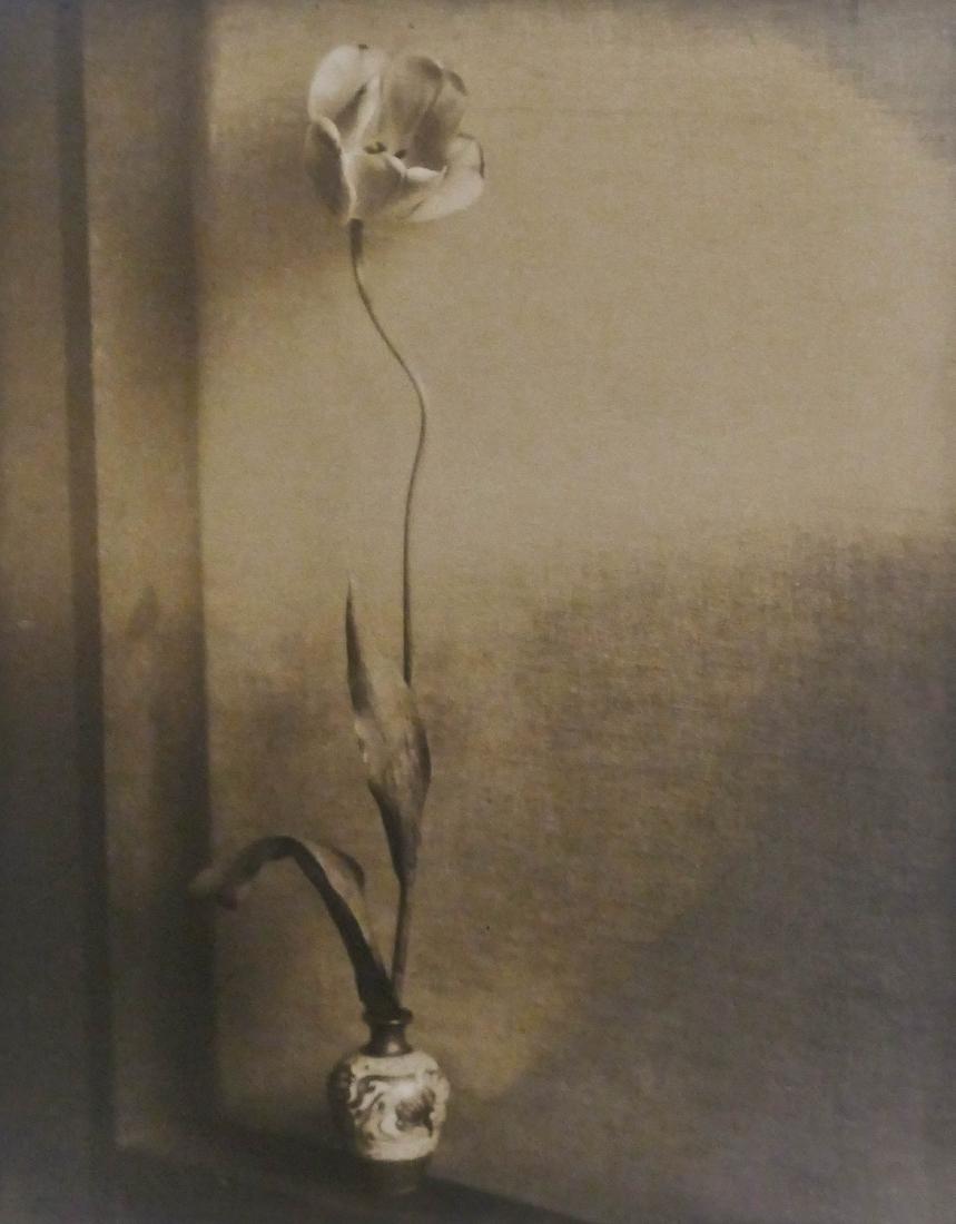 Ella McBride (1862-1965 Washington) ''The Magic Vase'' (1 of 3)