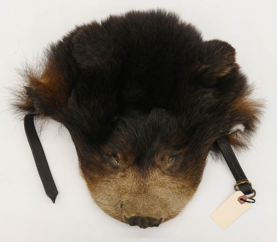 Vintage Tlingit Bear Taxidermy Hat 15''x12''. A brown (1 of 3)