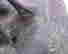 item-67200245=4
