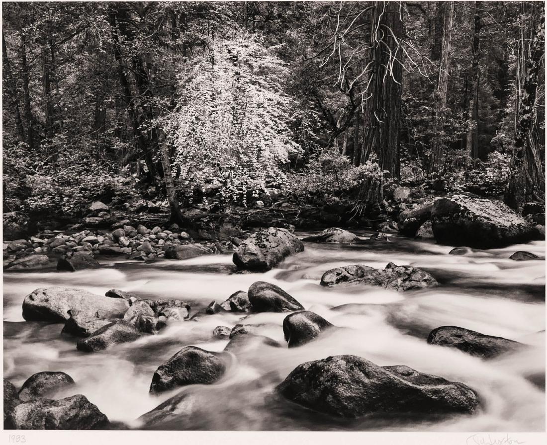 John Sexton (b.1953 American) ''Merced River and (1 of 3)