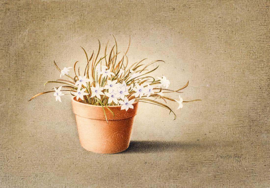 Rosalyn Gale Powell (1929-2007 Washington) ''Tritelia'': Rosalyn Gale Powell (1929-2007 Washington) ''Tritelia'' 1989 Oil on Board 13''x18'' Image. An image of a pot with flowers. Signed l.r. with Foster/White Gallery, Seattle label on verso. Ornate framing