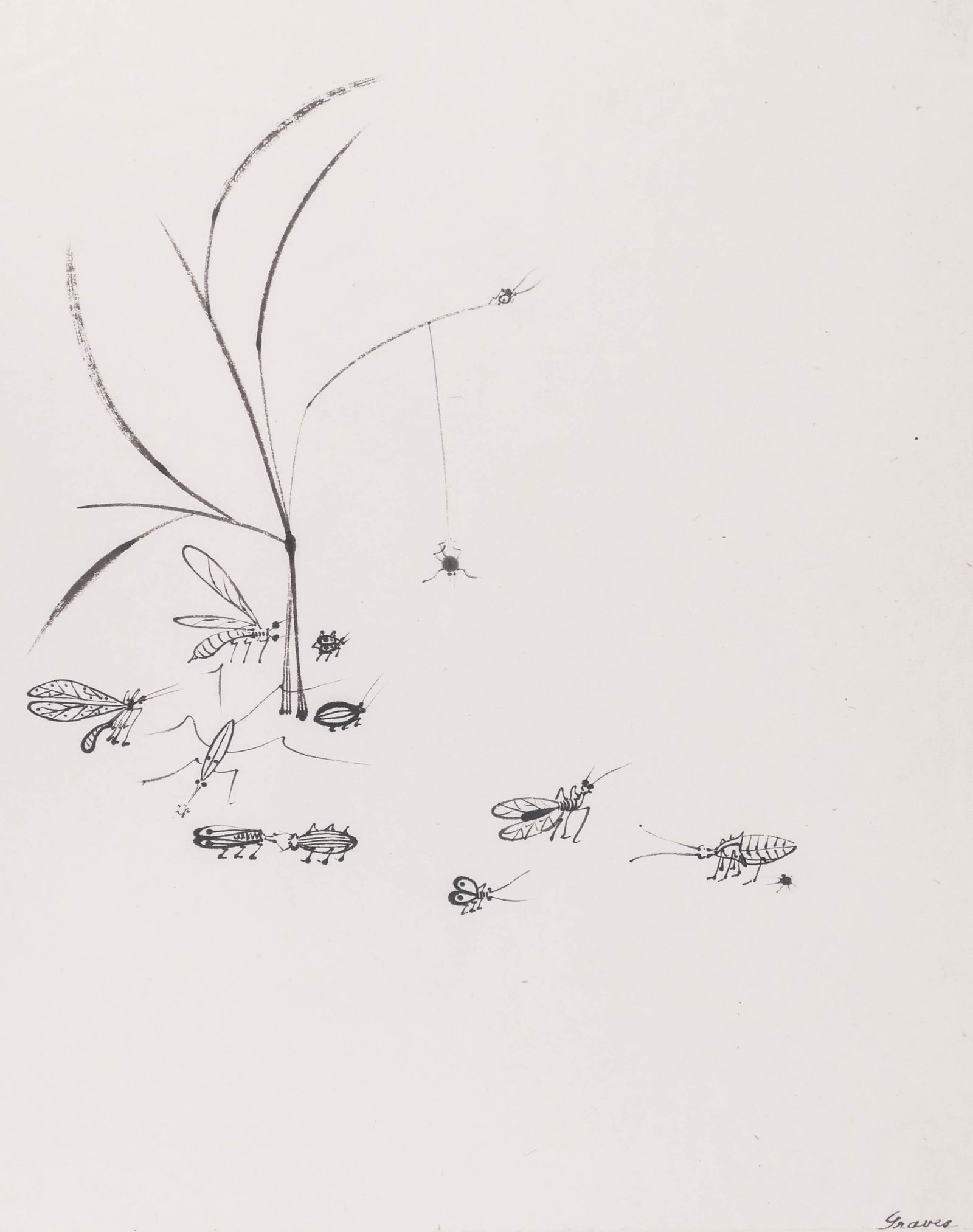 Morris Graves (1910-2001 Washington) ''Plant with (1 of 5)