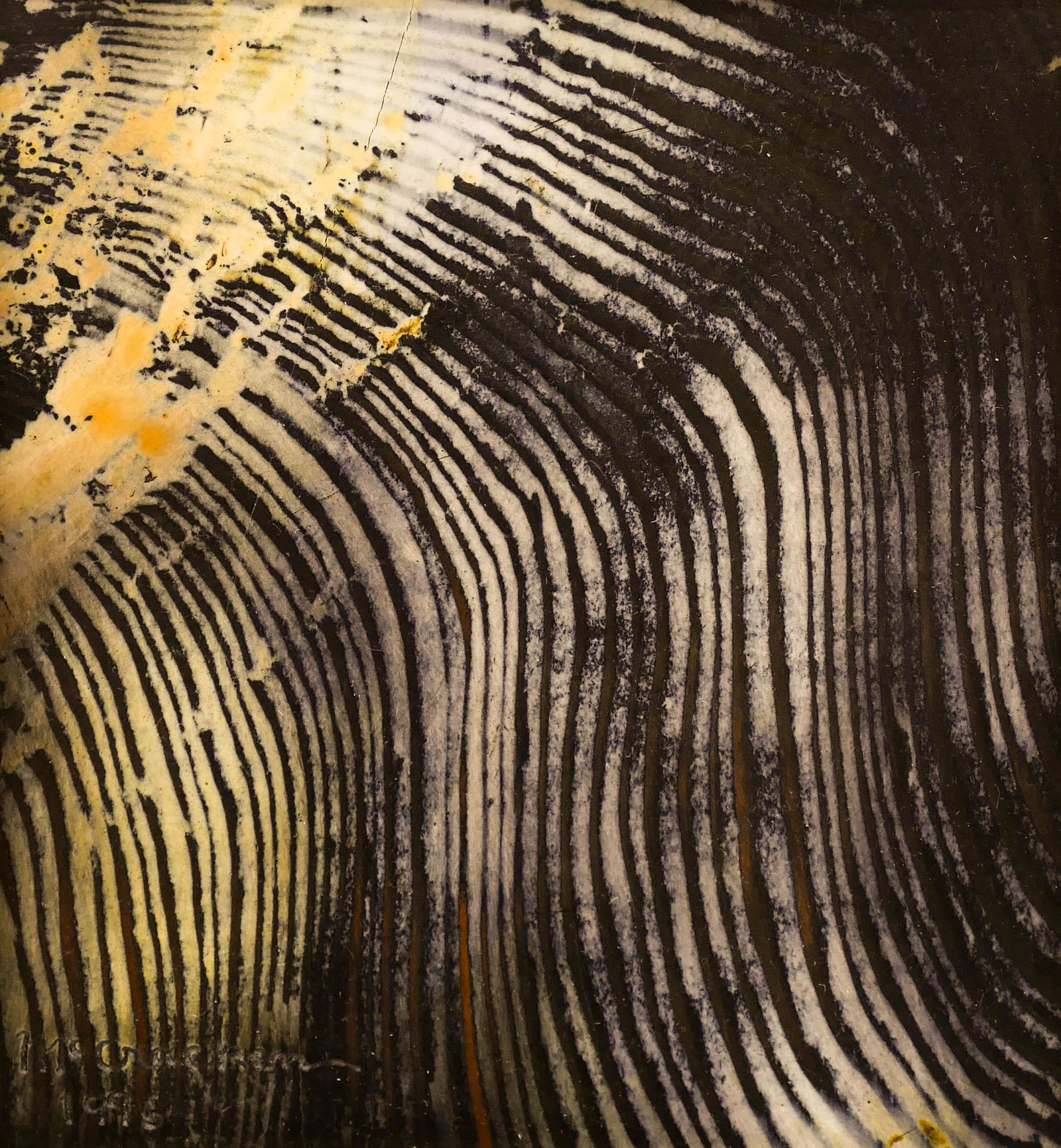 Philip McCracken (b.1928 Washington) Waterfall 1996 (1 of 2)