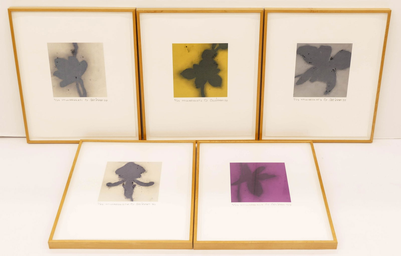 Brad Durham (b.1952 California) ''Stillness'' 1999: Brad Durham (b.1952 California) ''Stillness'' 1999 Suite of Five Monoprints on BFK Rives 10.5''x10'' Image Each. Includes images 1-5. Pencil signed and numbered 6 of 23 edition. Sheet 24''x20'', frame