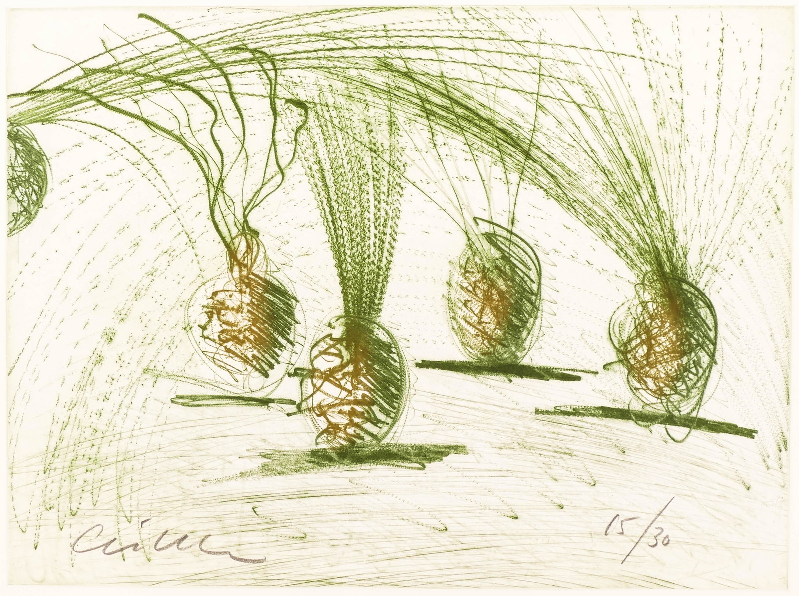 Dale Chihuly (b.1941 Washington) Ikebana Aquatint: Dale Chihuly (b.1941 Washington) Ikebana Aquatint Etching on Somerset Paper 17.5''x23.75'' Impression. A scarce etching by this glass master. Signed and numbered 15 of 30 edition lower image. Sheet si