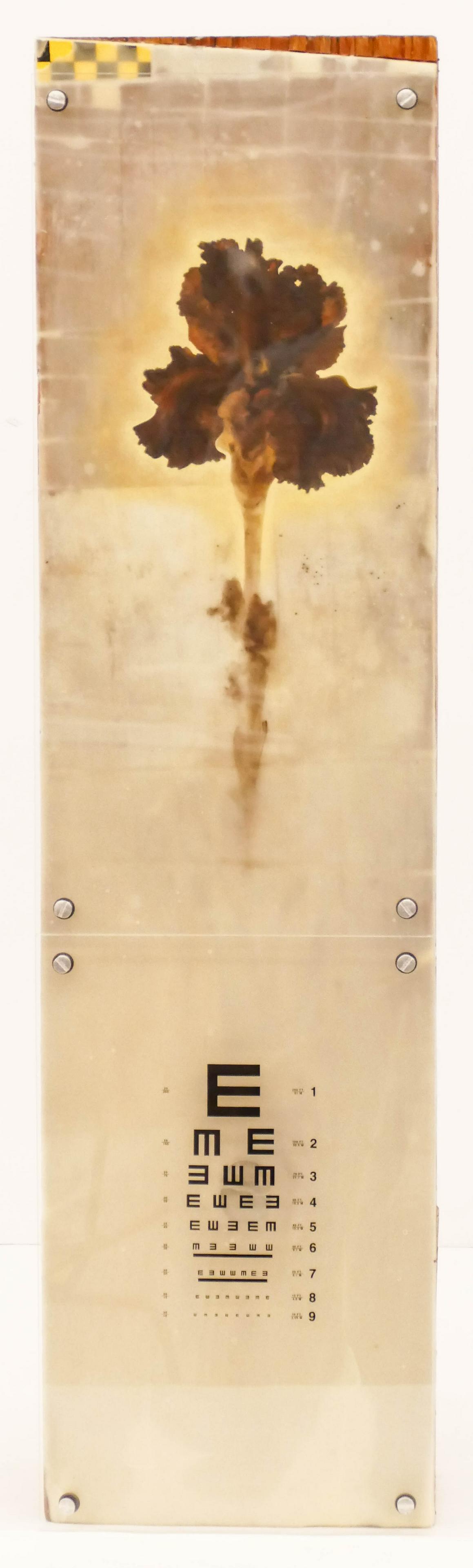 B. Bayard (20/21st Cent. American) ''Specimen No.7'': B. Bayard (20/21st Cent. American) ''Specimen No.7'' 1999 Mixed Media 34''x9''x6''. An oil, wax, collage on wood sculpture with ink on plexiglass. Signed and titled on verso. Excellent condition. Coll