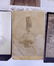 27pc Cabinet Card Portraits of Gentlemen - 2