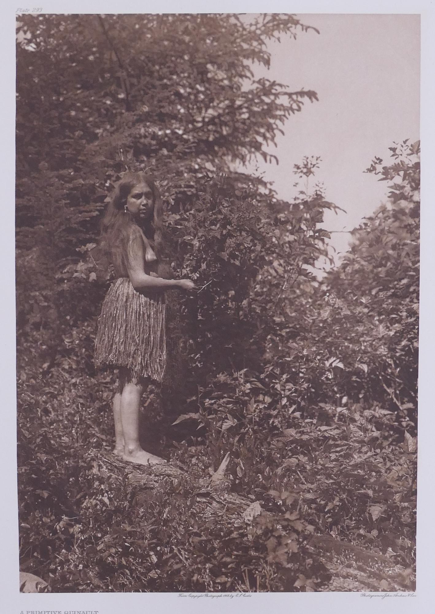 Edward Curtis 'A Primitive Quinault' Photogravure: Edward Curtis (1868-1952 Washington) 'A Primitive Quinault' Photogravure. Plate 293. Reads ''From Copyright Photograph 1912 E.S. Curtis'' below image. Holland Van Gelder Paper watermark in margin. Ima