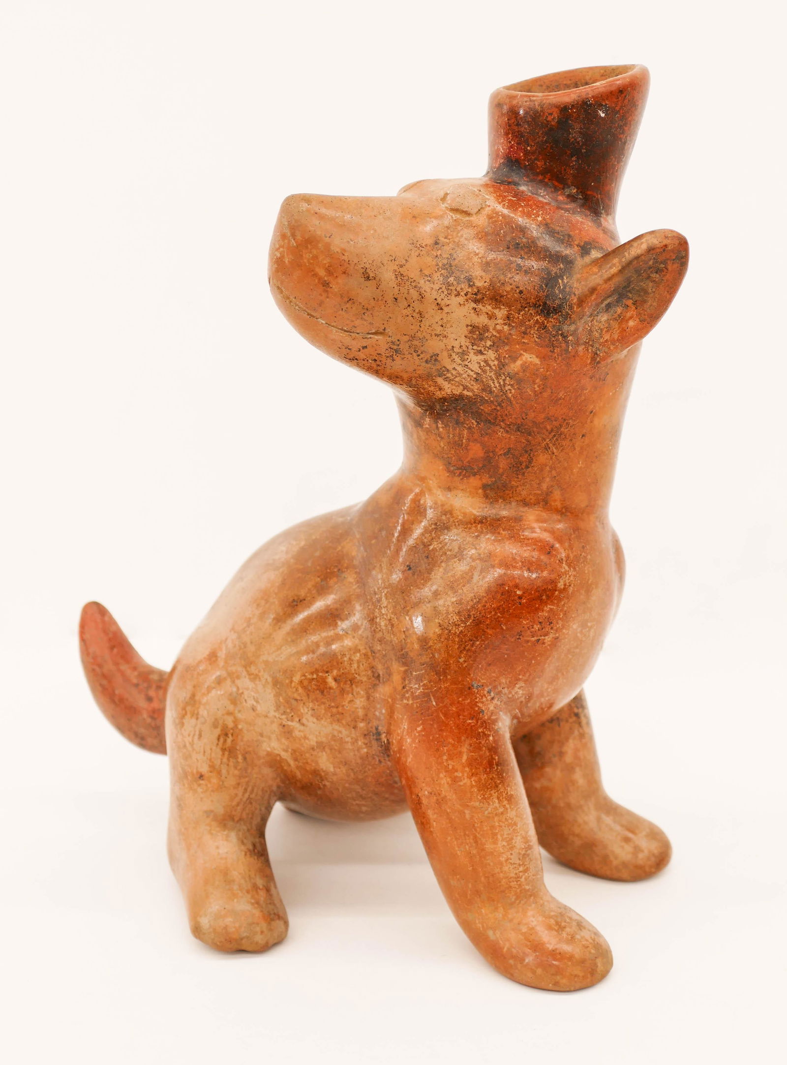Colima Pre Columbian Dog Effigy Vessel: Colima Pre Columbian Dog Effigy Vessel 9.5''x7.5''. A figural seated redware vessel with turned head. Excellent condition. 200 BCE to 300 CE, West Mexico. Purchased Ron Messick Fine Arts, New Mexico.