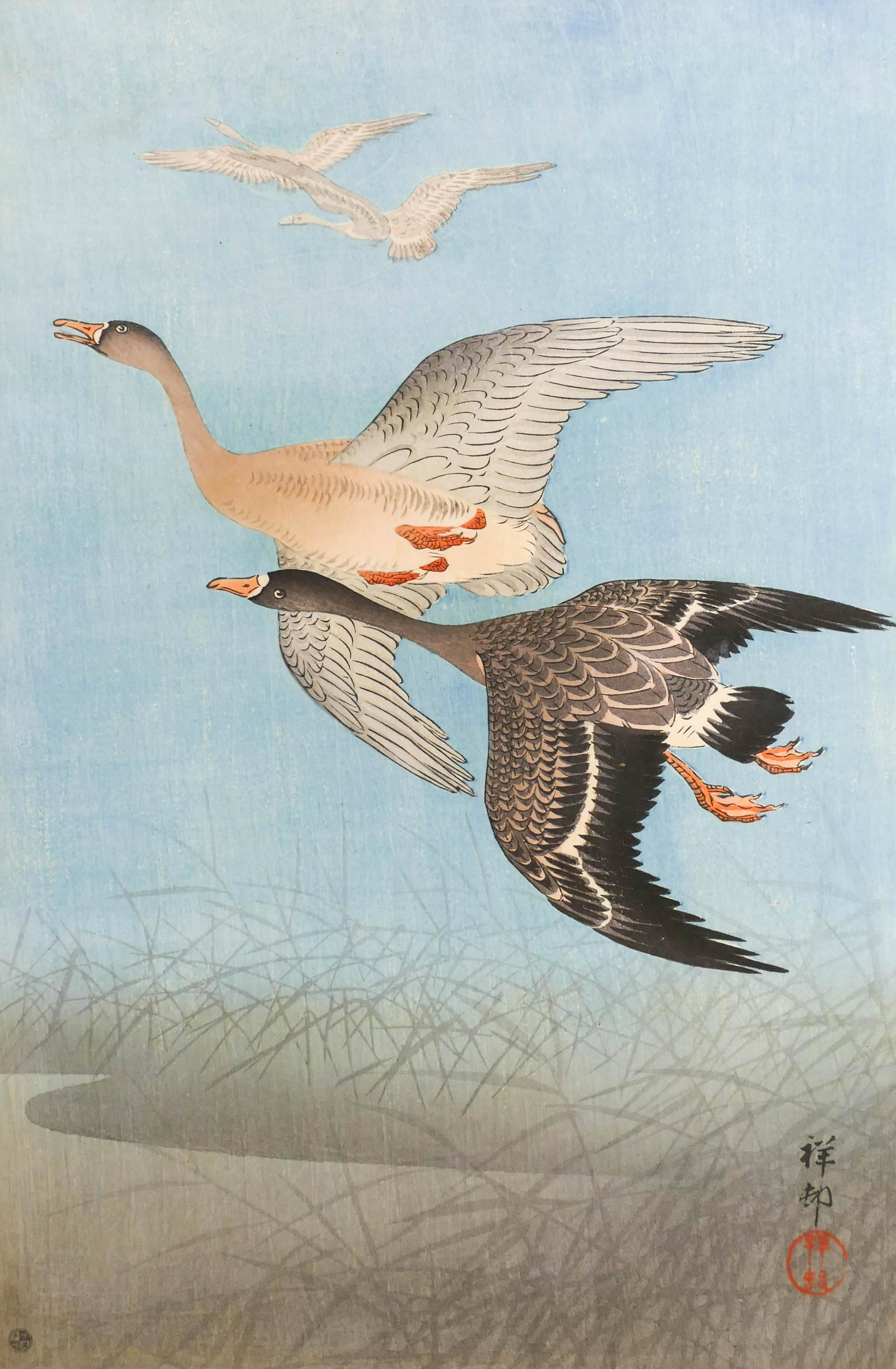 Ohara Koson ''Flying Geese'' Woodblock Print: Ohara Koson ''Flying Geese'' Woodblock Print 15.5''x10.25'' Sheet. Shoson oban size print with 6mm Watanabe seal lower left. Full margins with strong colors. Estate of Margaret Flagg, Maryland.