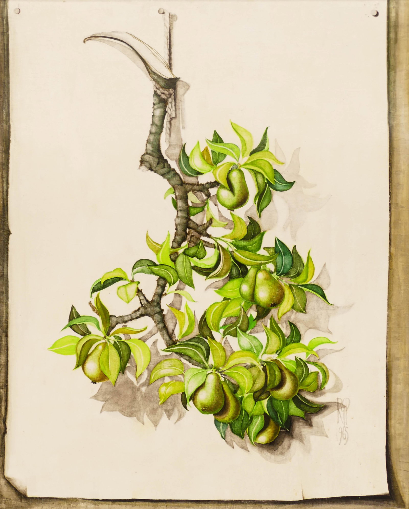 Rosalyn Gale Powell ''Pear Branch'' 1965 Oil on Board: Rosalyn Gale Powell (1929-2007 Washington) ''Pear Branch'' 1965 Oil on Board 40''x32'' Image. An exceptional trompe l'oeil image of a hanging branch on white board. Signed l.r. with Foster/White Galle