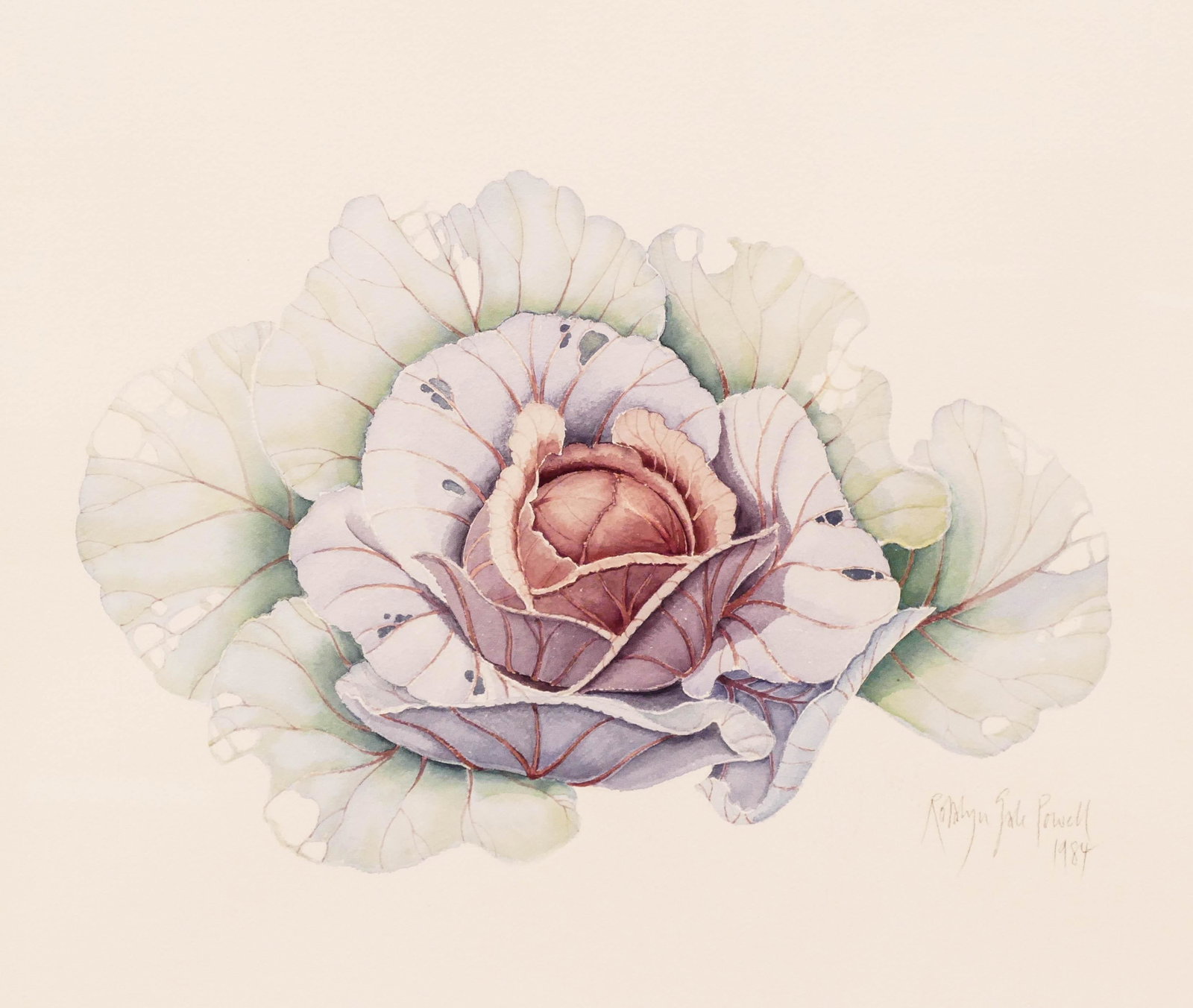Rosalyn Gale Powell ''Pike Place Market Cabbage'' 19 (1 of 3)