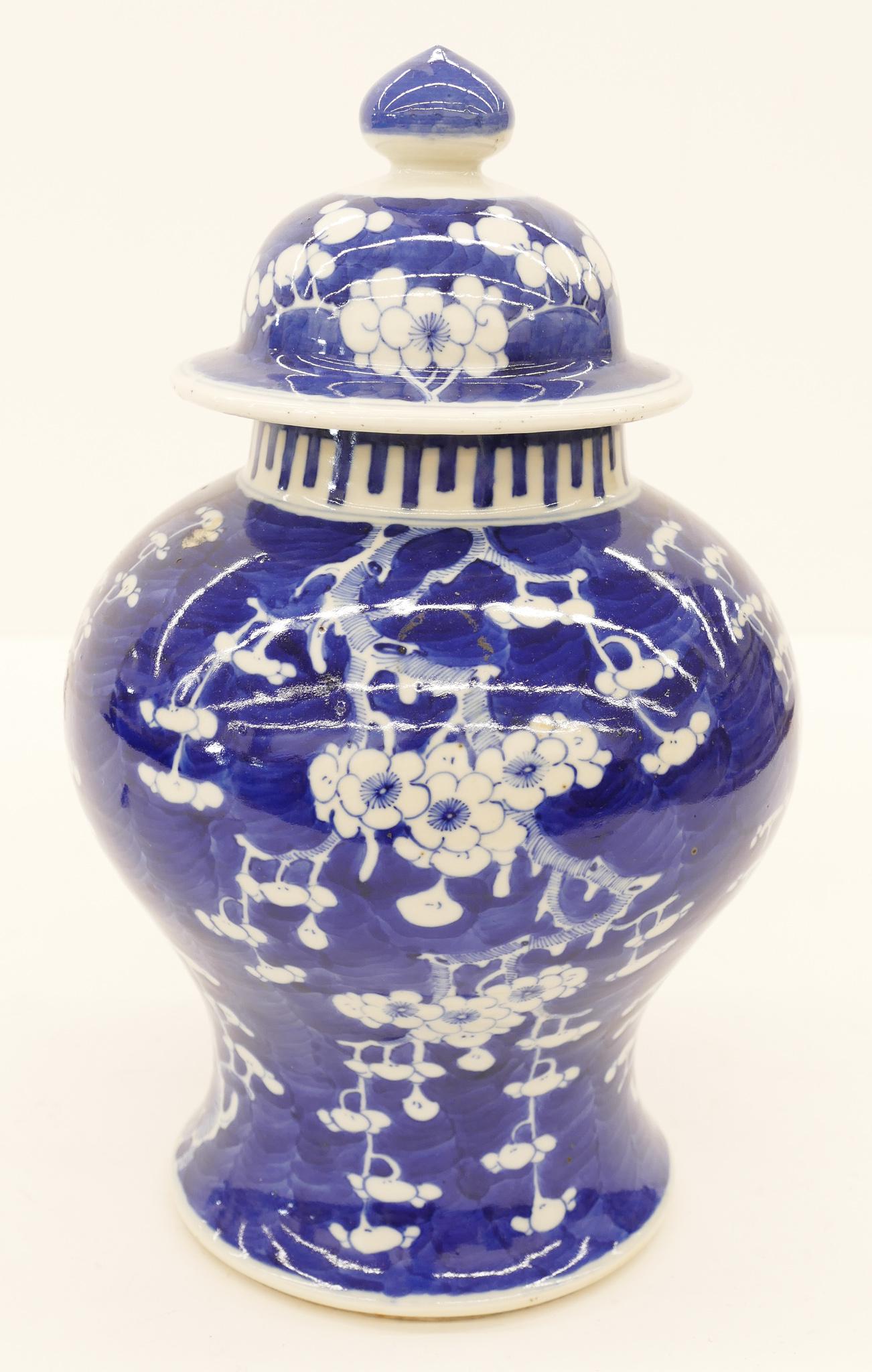 Chinese Qing Blue & White Prunus Jar (1 of 3)