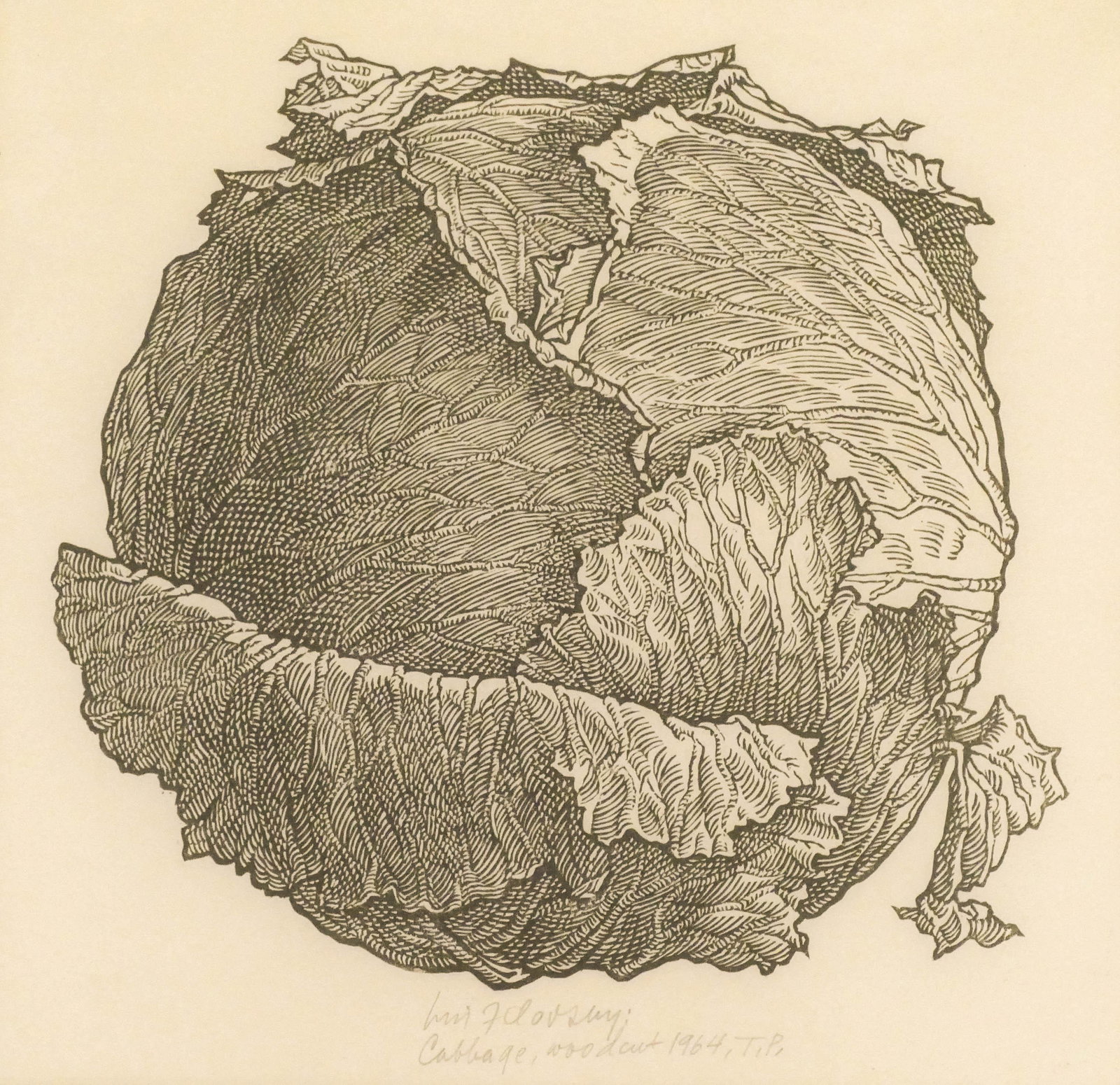 Jacques Hnizdovsky ''Cabbage'' 1964 Woodcut (1 of 2)
