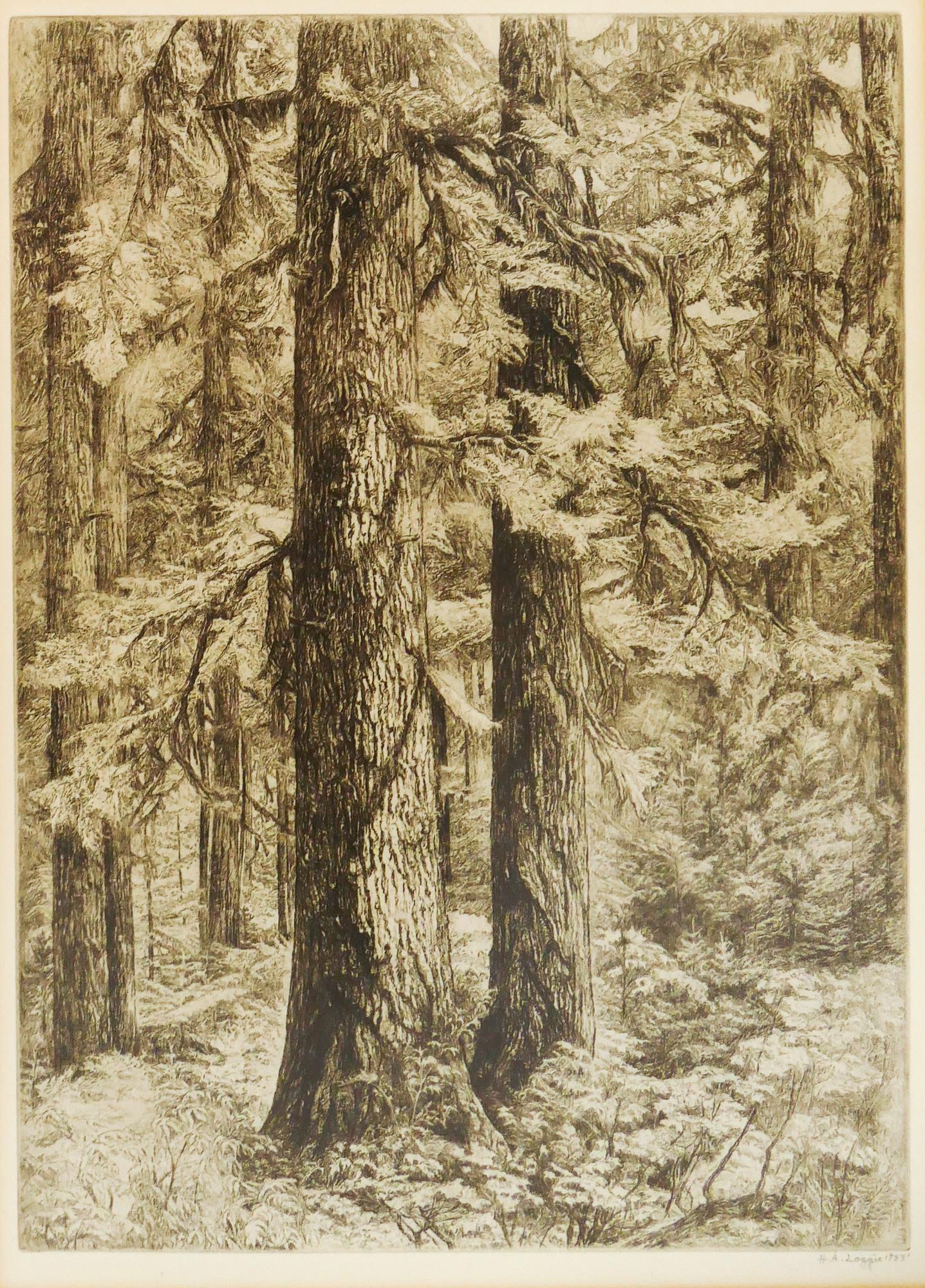 Helen Loggie ''Hemlock Forest'' Etching, 1955: Helen Loggie (1895-1976 Washington) ''Hemlock Forest'' Etching, 1955. 12.5''x9'' Impression. Detailed forest scene image by renown San Juan Island artist. Signed and dated l.r. Frame 19.75''x14.75''. 