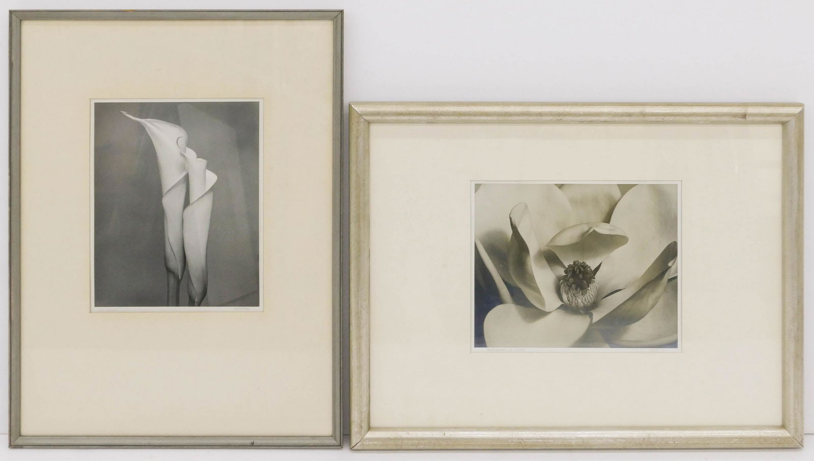 2pc Roi Partridge ''Flowers'' 1930's Silver Prints (1 of 3)