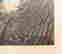 item-131057407=3