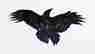 item-131057626=2