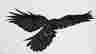 item-131057626=4