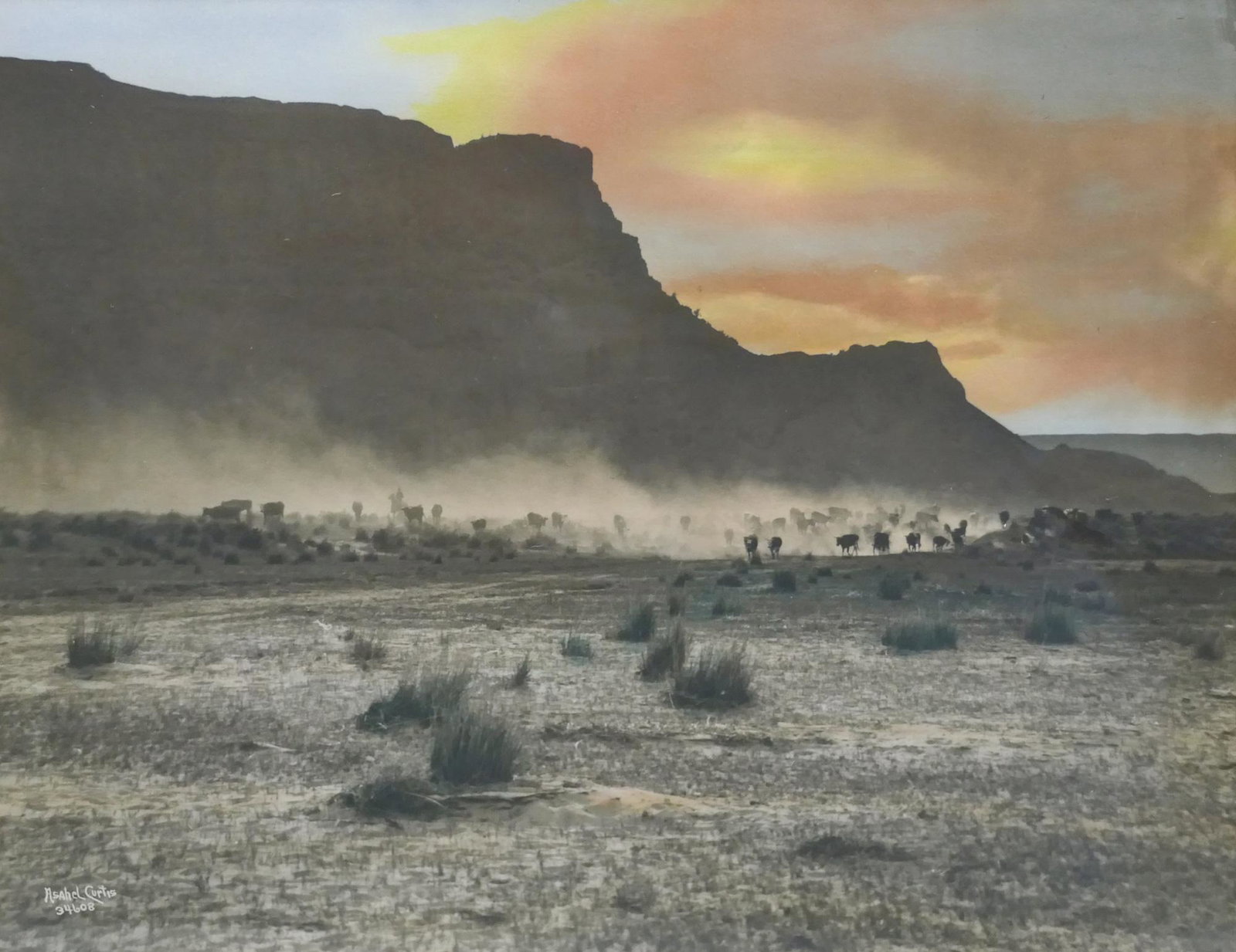 Asahel Curtis ''The Roundup'' Tinted Photograph: Asahel Curtis (1874-1941 Washington) ''The Roundup'' Tinted Photograph 8''x10'' Sight. A scarce western photograph with cowboys rounding up cattle. Signed with negative number ''34608'' lower left. Or