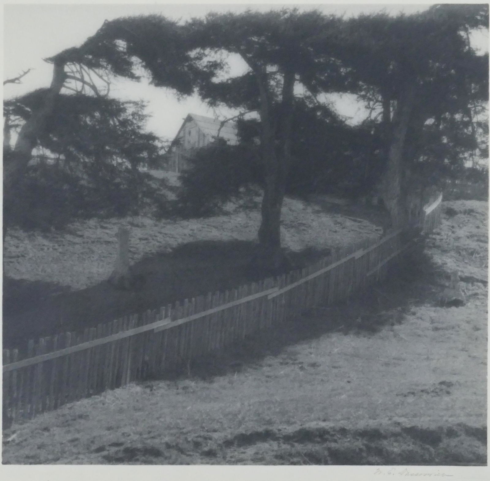 William Dassonville ''Untitled'' (Landscape with House): William Dassonville (1879-1957 American) ''Untitled'' (Landscape with House) Platinum Print 8.5''x9'' Image. A scarce California landscape photograph. Pencil signed lower margin with estate stamp on v