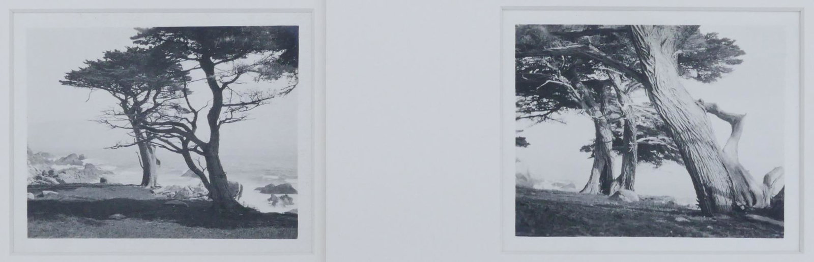 2pc William Dassonville ''Monterey Coast'' Silver Print: 2pc William Dassonville (1879-1957 American) ''Monterey Coast'' Small Silver Prints 3.5''x4.5'' Images. Unsigned, estate stamps on verso. Sheet sizes 5''x7'' approx., matted sizes 14''x11''. Excellent