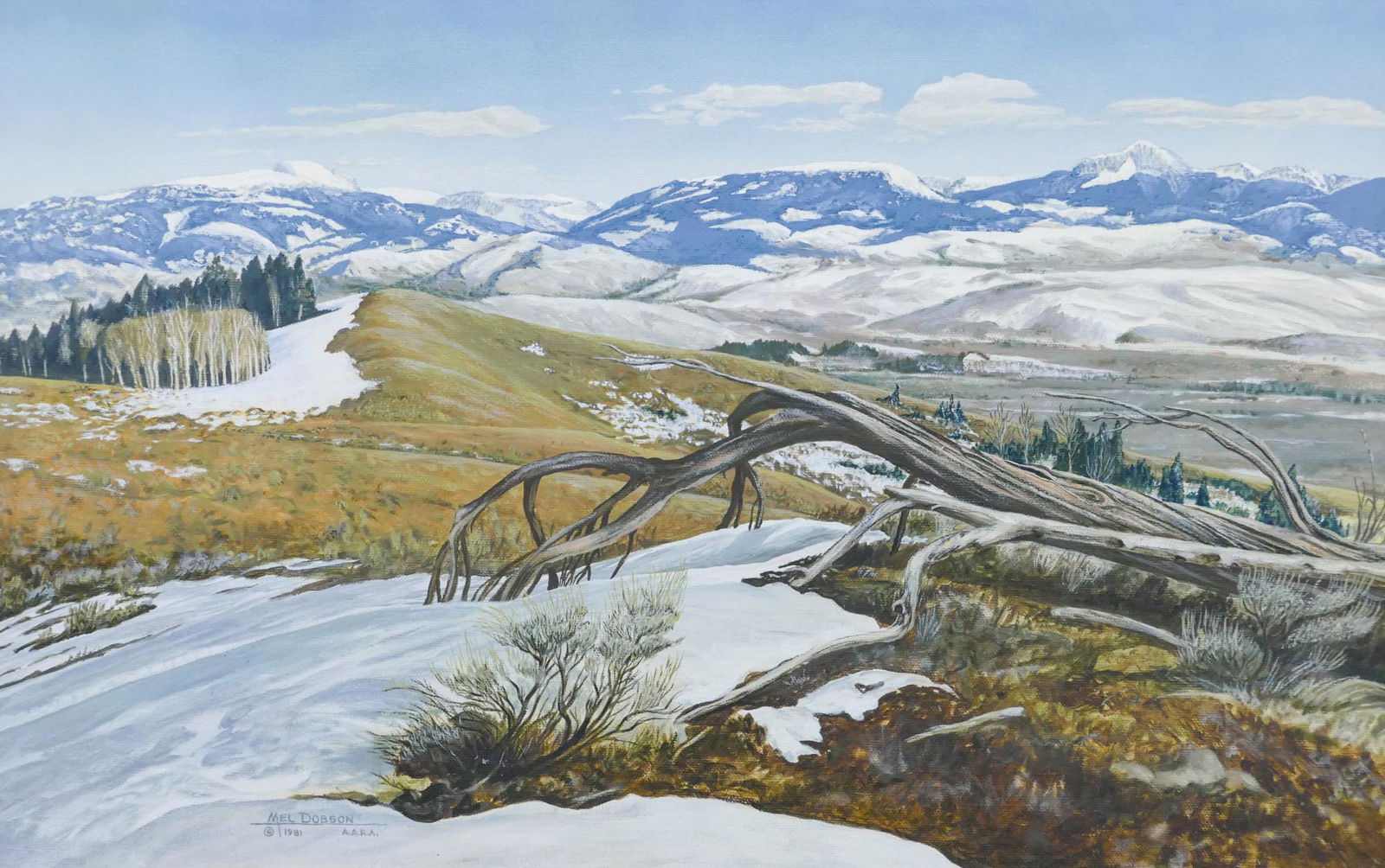 Melvin ''Mel'' Dobson ''Jackson Hole'' 1981 Oil: Melvin ''Mel'' Dobson (1934-2016 American) ''Jackson Hole, East from Blacktail Butte'' 1981 Oil on Canvas 14''x22'' Image. Signed l.l. Original framing 18''x26''. Excellent condition.