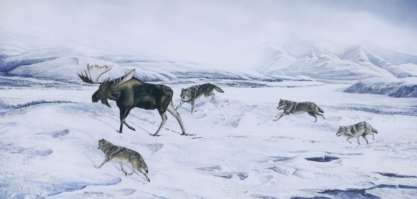 Melvin ''Mel'' Dobson ''North Country Test Run'' 1981: Melvin ''Mel'' Dobson (1934-2016 American) ''North Country Test Run'' (Wolf Pack & Bull Moose) 1981 Mixed Media on Board 12''x25'' Sight. Intricate gouache and scratchboard western composition. Signed