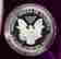 item-134525236=3