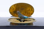 Antique Swiss Automaton Singing Bird Box