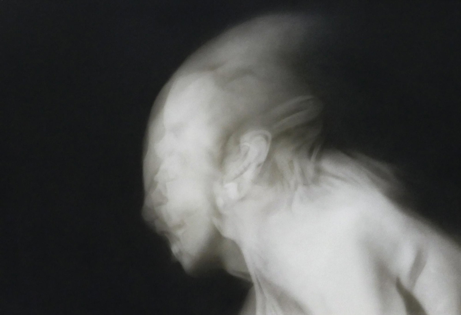 David McMurray ''Untitled'' (Head) 1994 Ink on Paper (1 of 2)