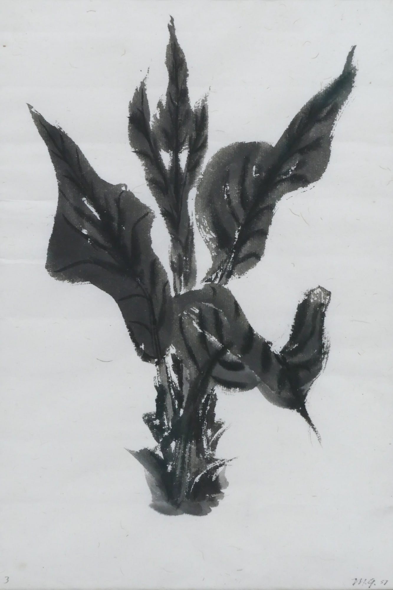 Morris Graves ''Plant No.3'' 1957 Tempera (1 of 2)