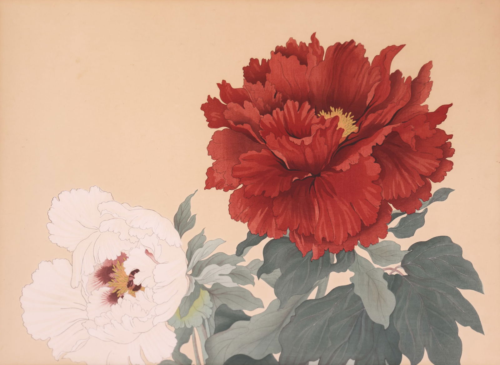 Tanigami Konan Japanese Peony Woodblock Print (1 of 2)