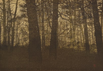 Joichi Hoshi ''In the Forest'' 1976 Woodblock