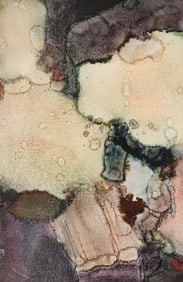 Alden Mason ''Purple Blusher'' (Burpee Garden) 1976